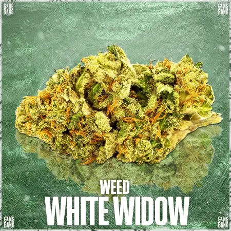 ☘Шишки White Widow☘